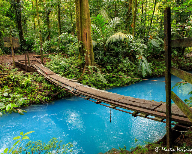 Wooden bridge river forest blue free wallpaper - medium preview image