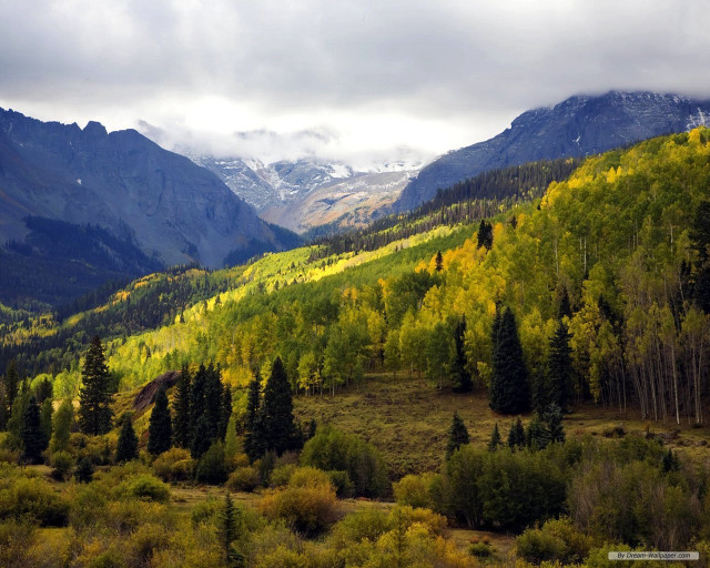 Mountain range forest trees snowy free wallpaper - medium preview image