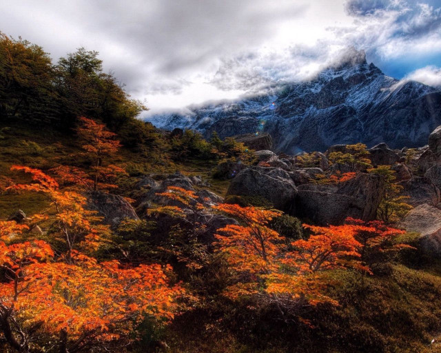 Mountain trees rocks cloudy sky free wallpaper - medium preview image