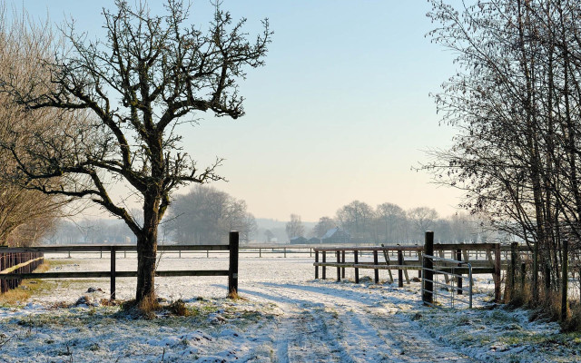 Snowy field wooden fence tree free wallpaper - medium preview image