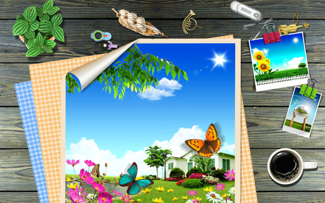 Garden butterfly coffee table nature free wallpaper - medium preview image