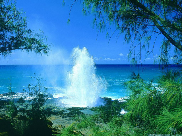 Large wave ocean sunny day #3 free wallpaper - medium preview image
