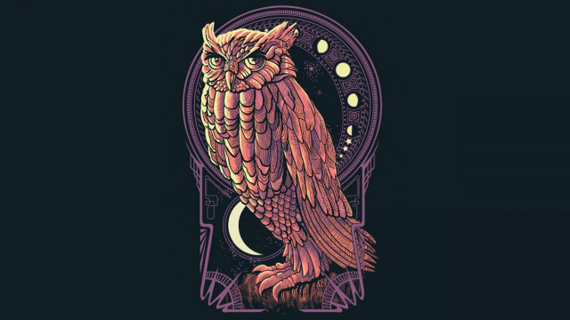 Owl tree branch crescent background free wallpaper - medium preview image