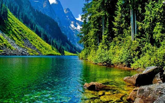 Mountain lake forest trees rocks free wallpaper - medium preview image