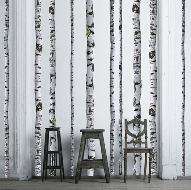 Chair stool wall birch trees free wallpaper - medium preview image