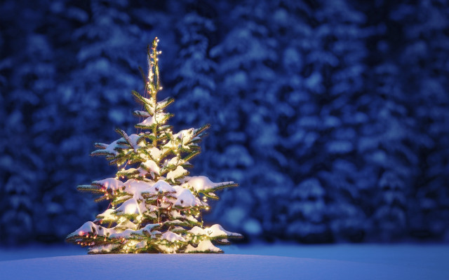 Small christmas tree snowy background free wallpaper - medium preview image