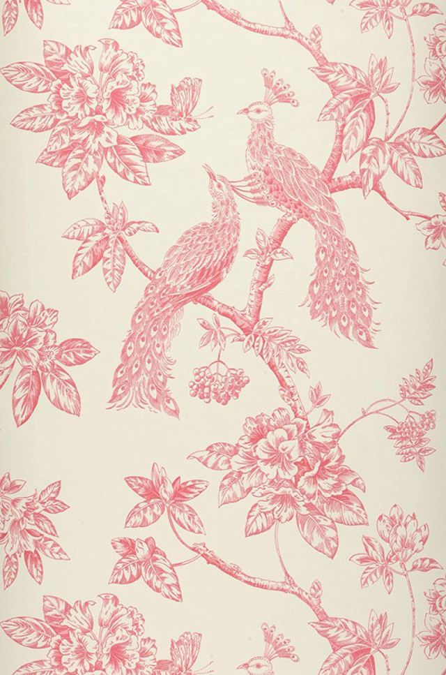 Pink white wallpaper bird branch free wallpaper - medium preview image