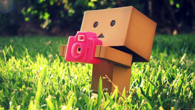 Toy camera cardboard figure grass free wallpaper - medium preview image