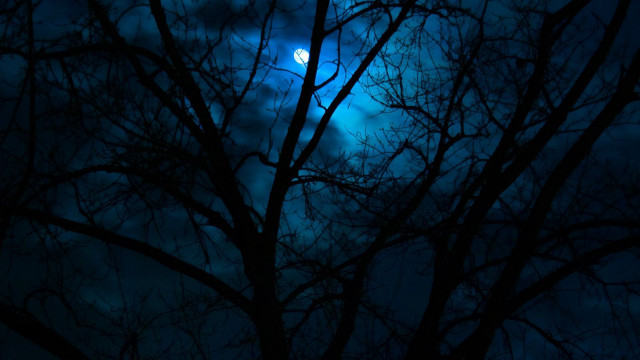 Leafless tree full moon clouds free wallpaper - medium preview image
