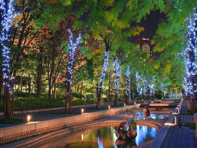 Park pond trees lights nighttime free wallpaper - medium preview image