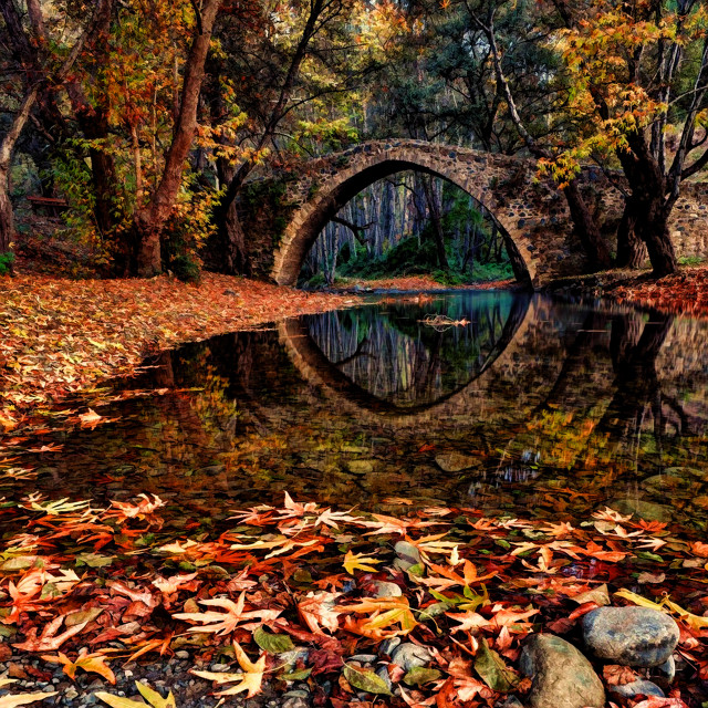 Autumn bridge river leaves trees free wallpaper - medium preview image