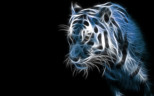Blue white tiger dark background #3 free wallpaper - medium preview image