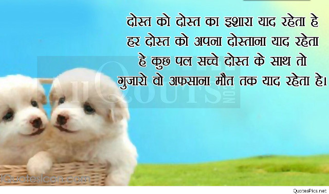 Puppies basket quote blue sky free wallpaper - medium preview image
