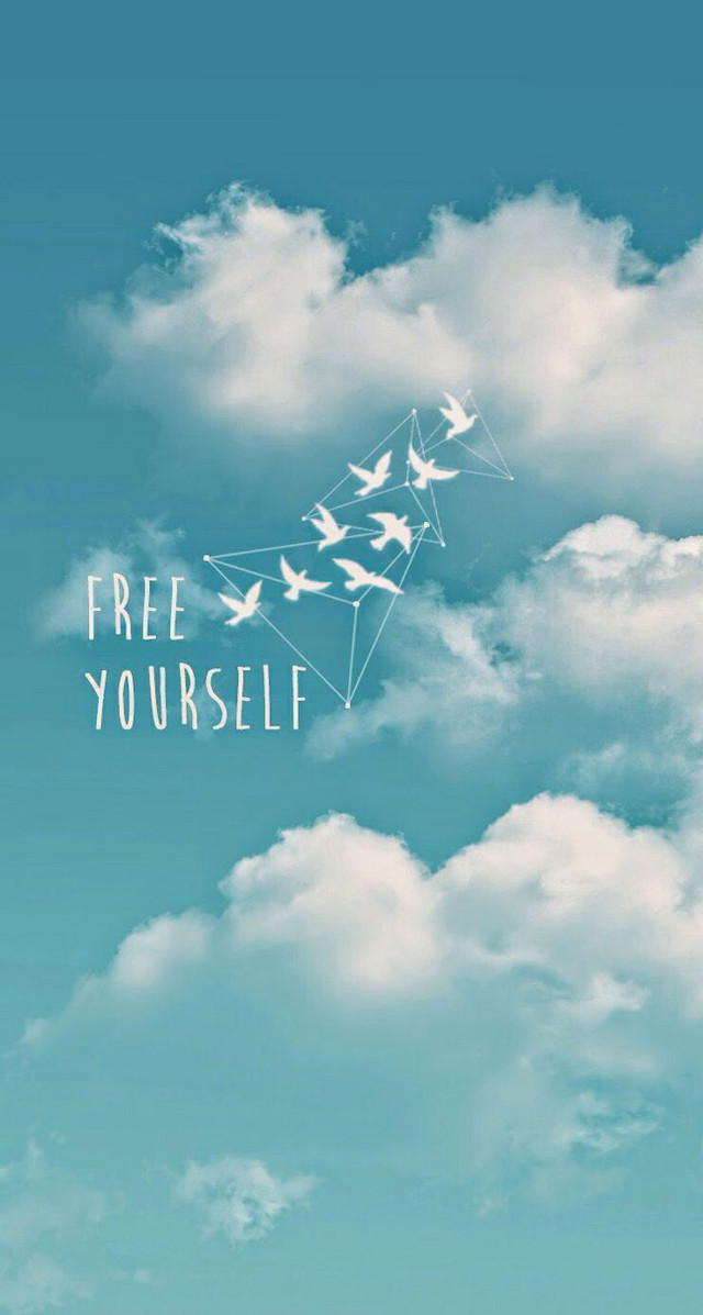 Sky birds flying free yourself free wallpaper - medium preview image