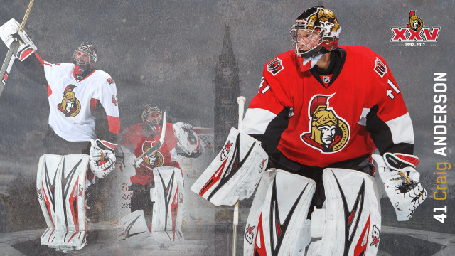 Hockey player team poster photo free wallpaper - medium preview image