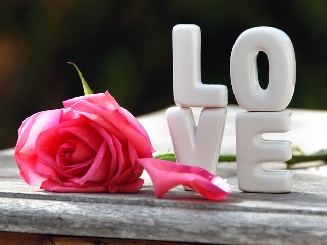 Rose love wooden surface romanticism free wallpaper - medium preview image