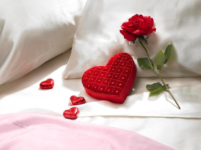 Red heart box rose bed free wallpaper - medium preview image