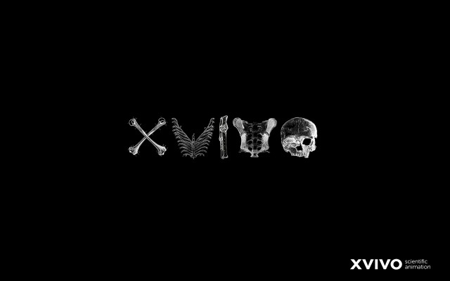 Skull bones vix black background free wallpaper - medium preview image