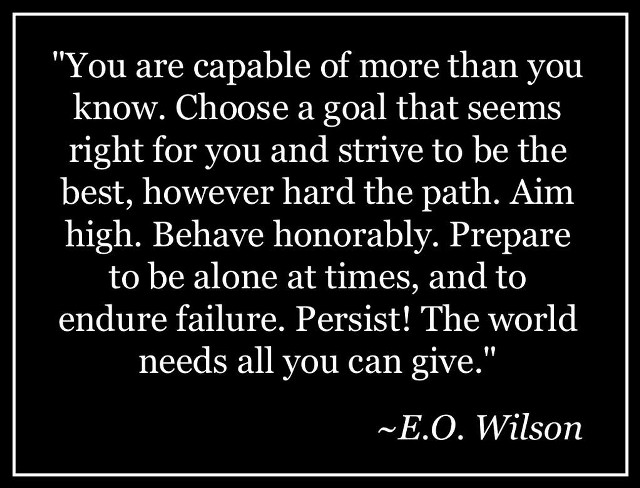 Eowilson inspirational poetry mosaic elfsmith free wallpaper - medium preview image