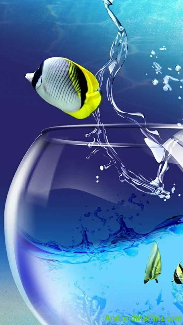 Fish bowl water plastic bottle free wallpaper - medium preview image