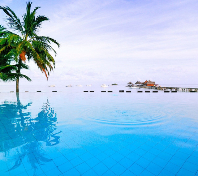 Palm tree pool pier view free wallpaper - medium preview image
