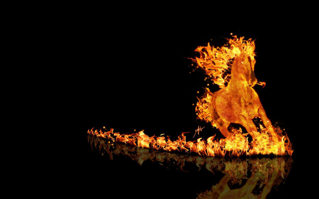 Horse running fire reflection water free wallpaper - medium preview image