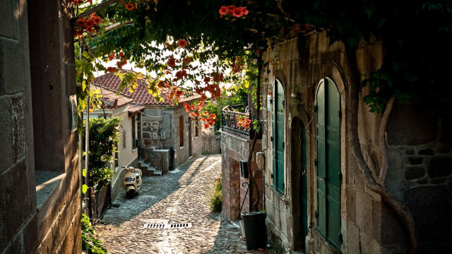Narrow alley stone building green free wallpaper - medium preview image