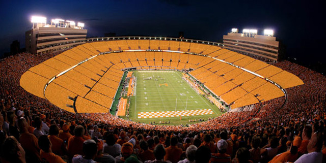 Stadium filled people watching game #2 free wallpaper - medium preview image