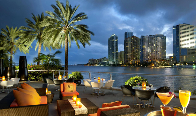 City night palm trees outdoor free wallpaper - medium preview image