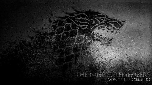 Lion black white photo with free wallpaper - medium preview image