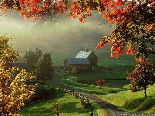 Farm road barn trees foreground free wallpaper - medium preview image