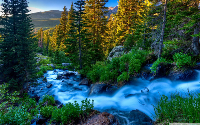 Stream water forest trees rocks free wallpaper - medium preview image
