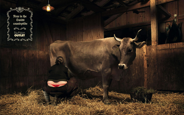 Man kneeling cow barn hay free wallpaper - medium preview image