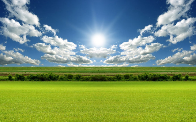 Sunlit field grass trees blue free wallpaper - medium preview image