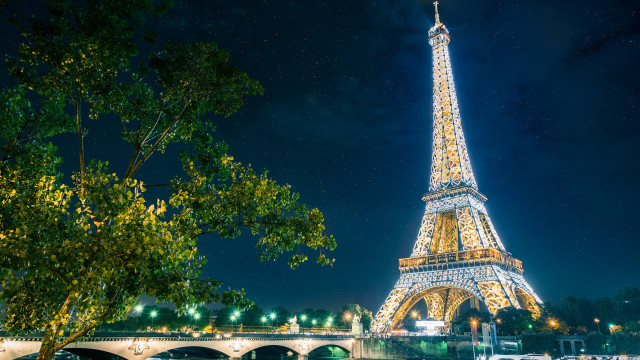 Eiffel tower night bridge trees free wallpaper - medium preview image