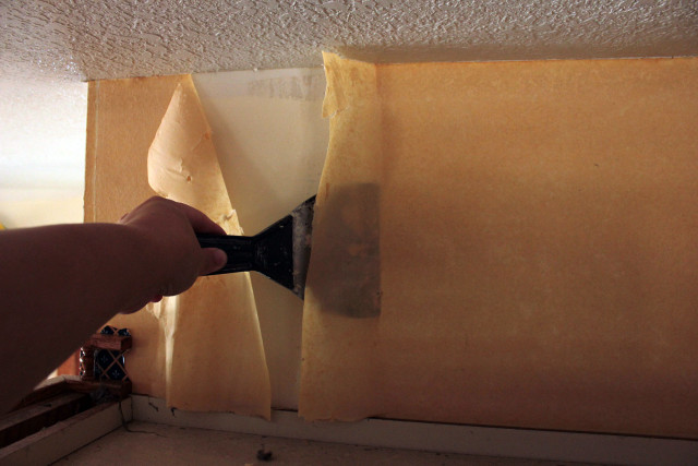 Person painting yellow wall white free wallpaper - medium preview image