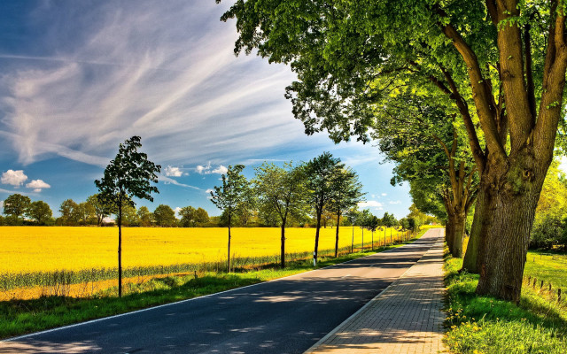 Road fence trees field blue #2 free wallpaper - medium preview image