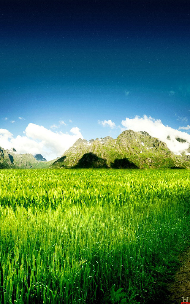 Dirt road green field mountains #3 free wallpaper - medium preview image
