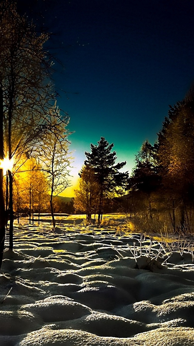 Snowy field trees bench night free wallpaper - medium preview image