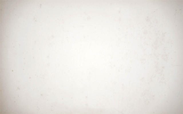 White wall black white cat #7 free wallpaper - medium preview image