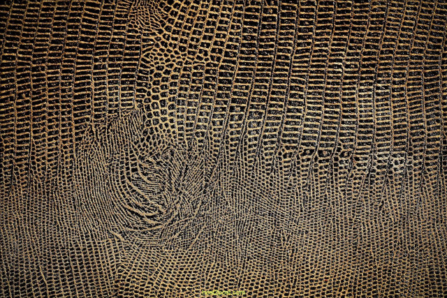 Close up textured surface green free wallpaper - medium preview image