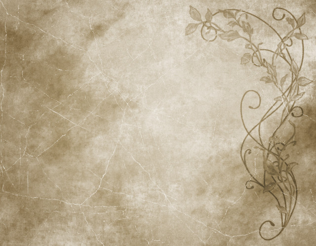 Grungy background vine leaves side free wallpaper - medium preview image