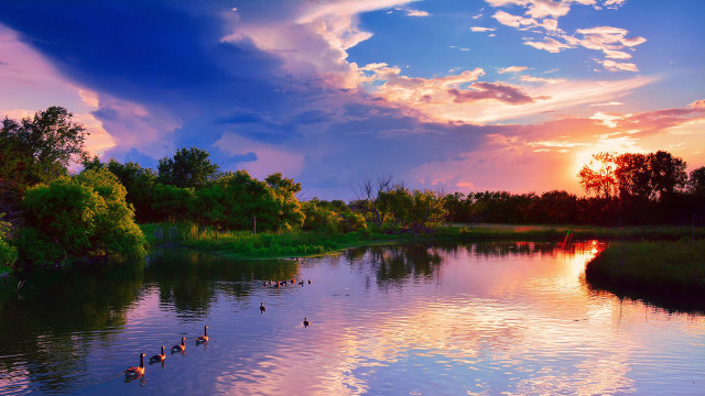Sunset lake ducks trees background free wallpaper - medium preview image