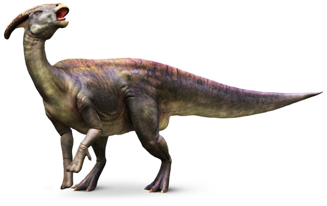Dinosaur mouth open wide open free wallpaper - medium preview image