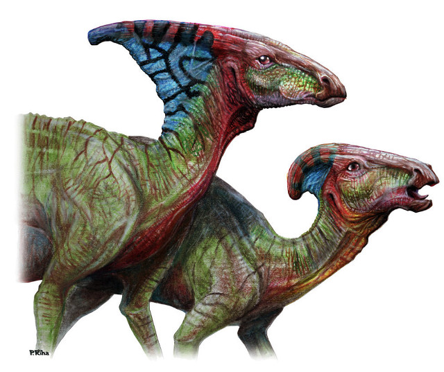 Dinosaurs drawing color size heads free wallpaper - medium preview image