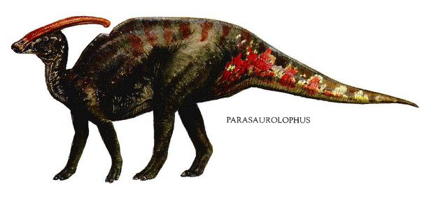 Dinosaur longneck longtail illustration sumatraism free wallpaper - medium preview image