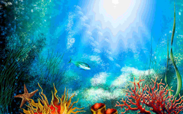 Coral reef fish starfish sunbeam free wallpaper - medium preview image