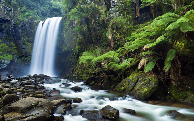 Waterfall forest rocks trees stream #7 free wallpaper - medium preview image