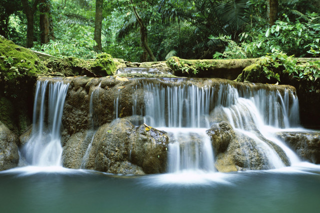 Waterfall rocks water running trees free wallpaper - medium preview image