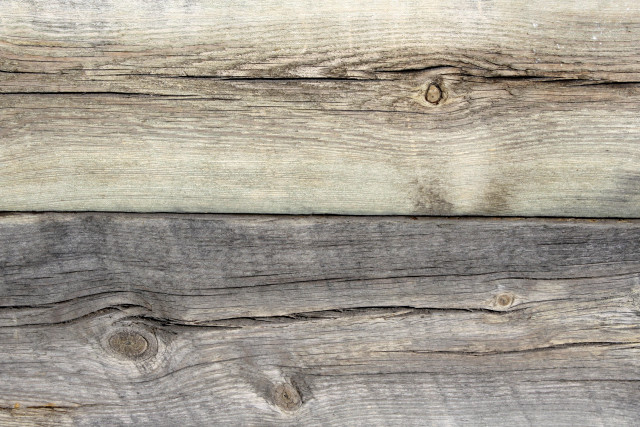 Wooden wall bird back end free wallpaper - medium preview image